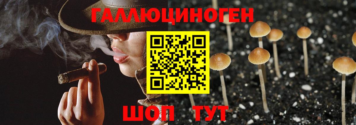 Лабинск  Псилоцибиновые грибы GOLDEN TEACHER  Вход с VPN  Псилоцибиновые грибы Cubensis 